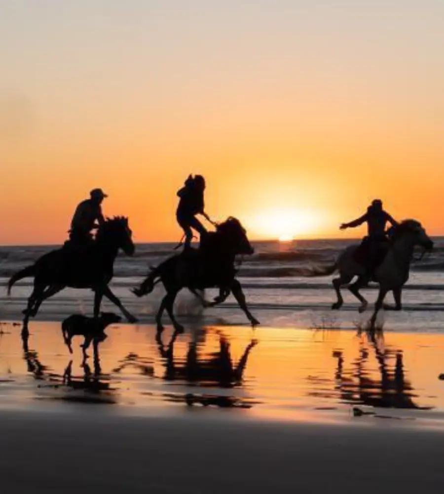 Horse riding on beach paths near Taghazout
