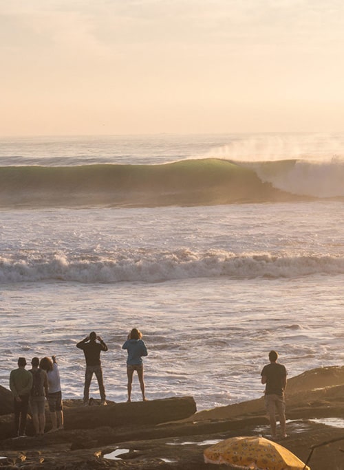 Surf Guiding